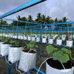 PAAN AGROFARM